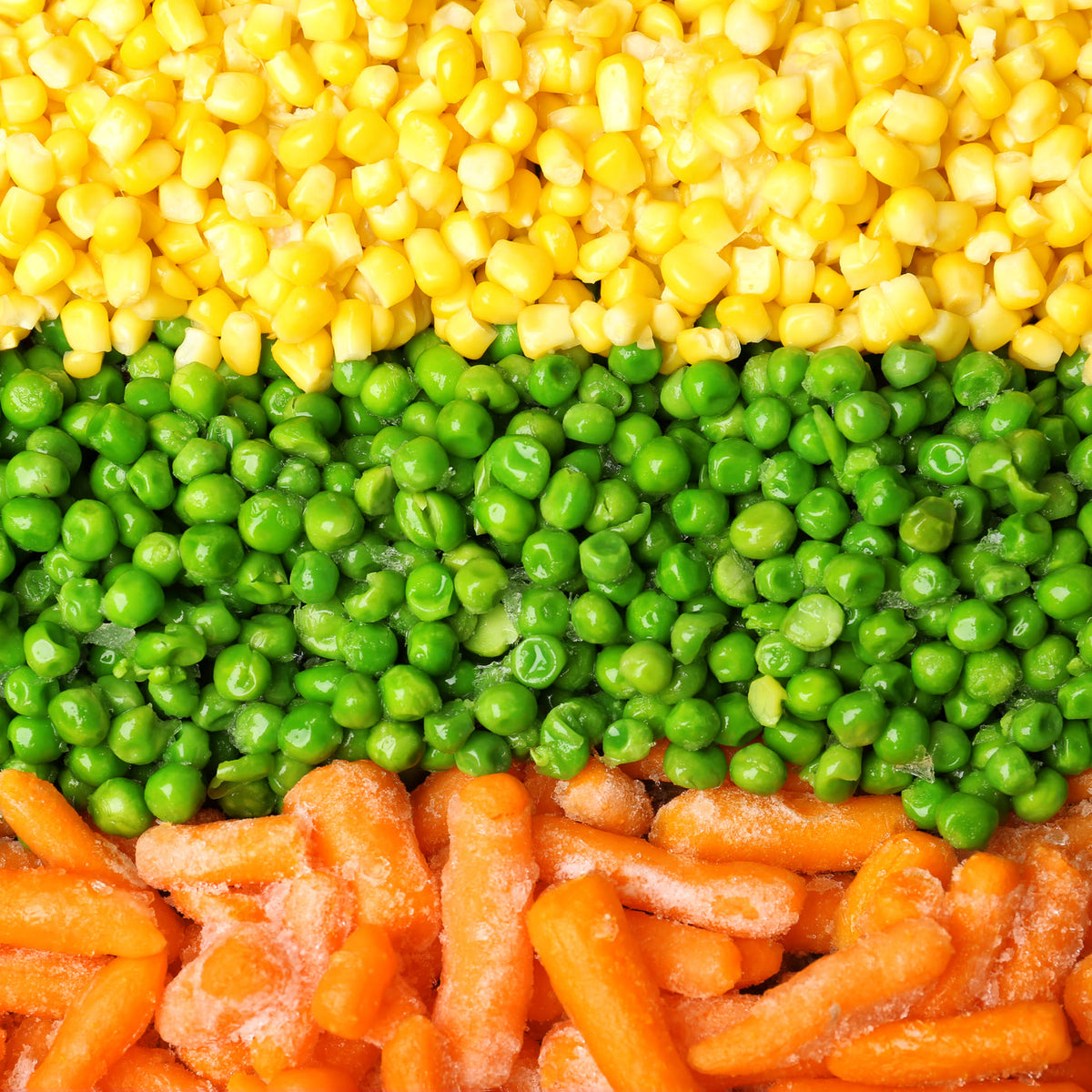 Porotos verdes